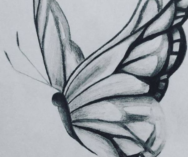 Drawings